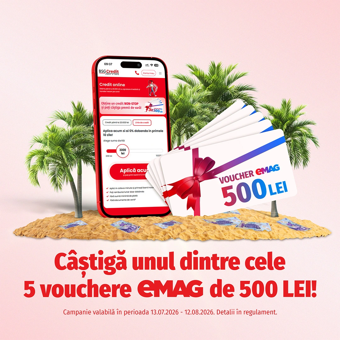 campanie bsg credit